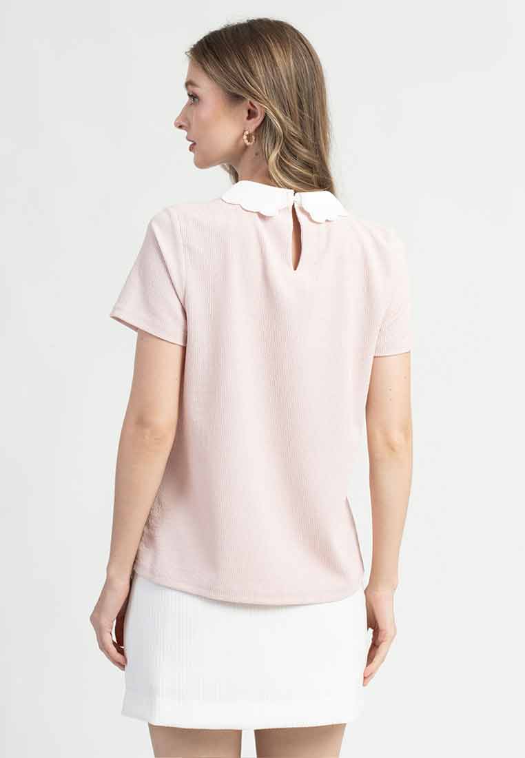 Riva Embroidered Scallop Collar Ribbed Top