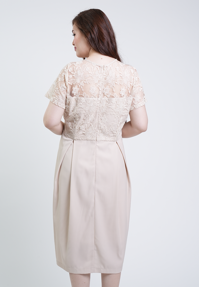 Milly Plus Size Odessa Short Sleeve V-Neck Lace Overlay Dress