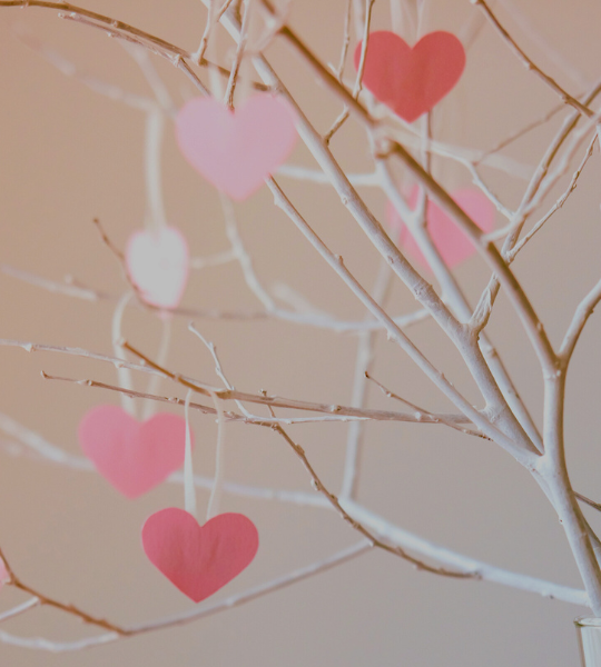 LOVE IN ALL ITS FORMS