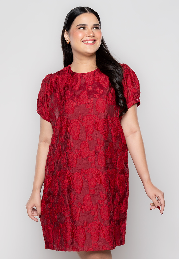Milly Plus Size Misty Anne Shift Dress in Full Lace Fabric – Paperdolls