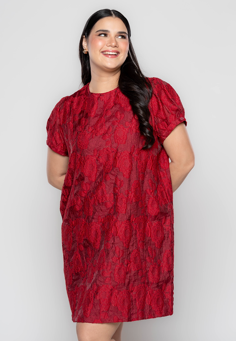 Milly Plus Size Misty Anne Shift Dress in Full Lace Fabric – Paperdolls