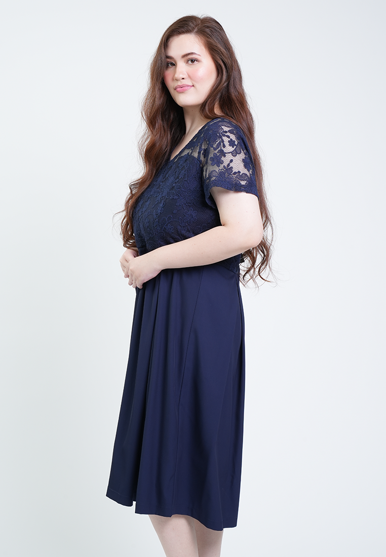 Milly Plus Size Odessa Short Sleeve V-Neck Lace Overlay Dress
