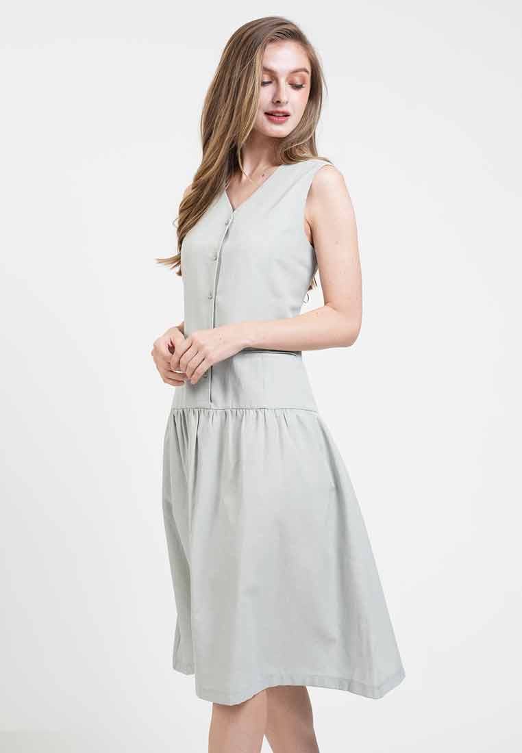 Karina Buttoned Dropwaist Dress