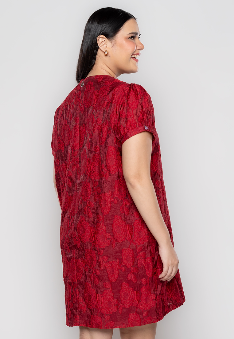 Milly Plus Size Misty Anne Shift Dress in Full Lace Fabric – Paperdolls
