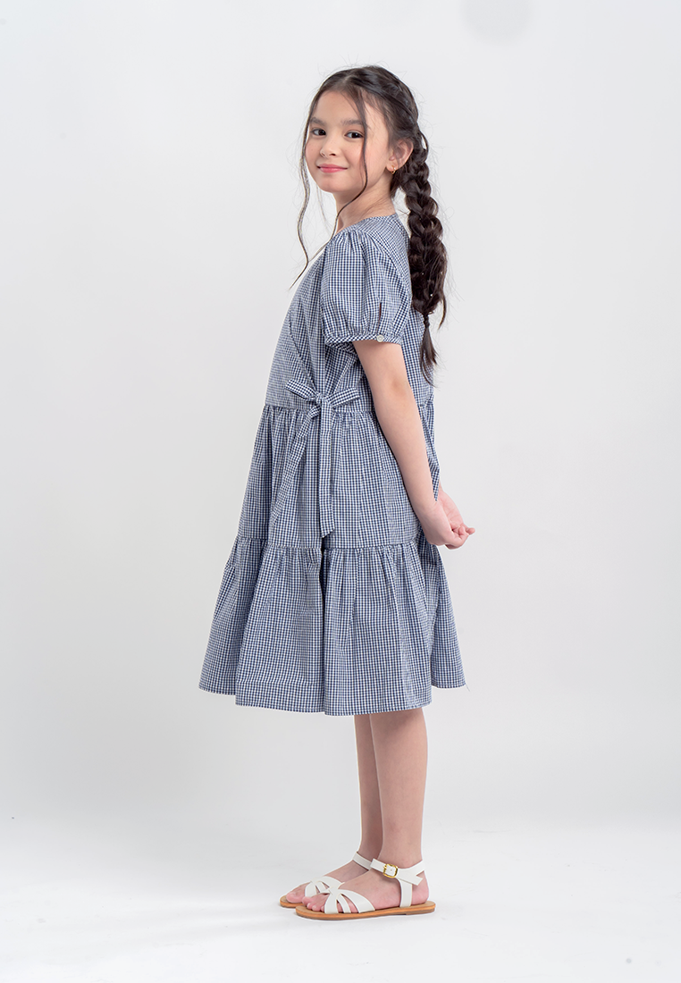 Treehouse Kids Arlette Overlap Dress  in Gingham